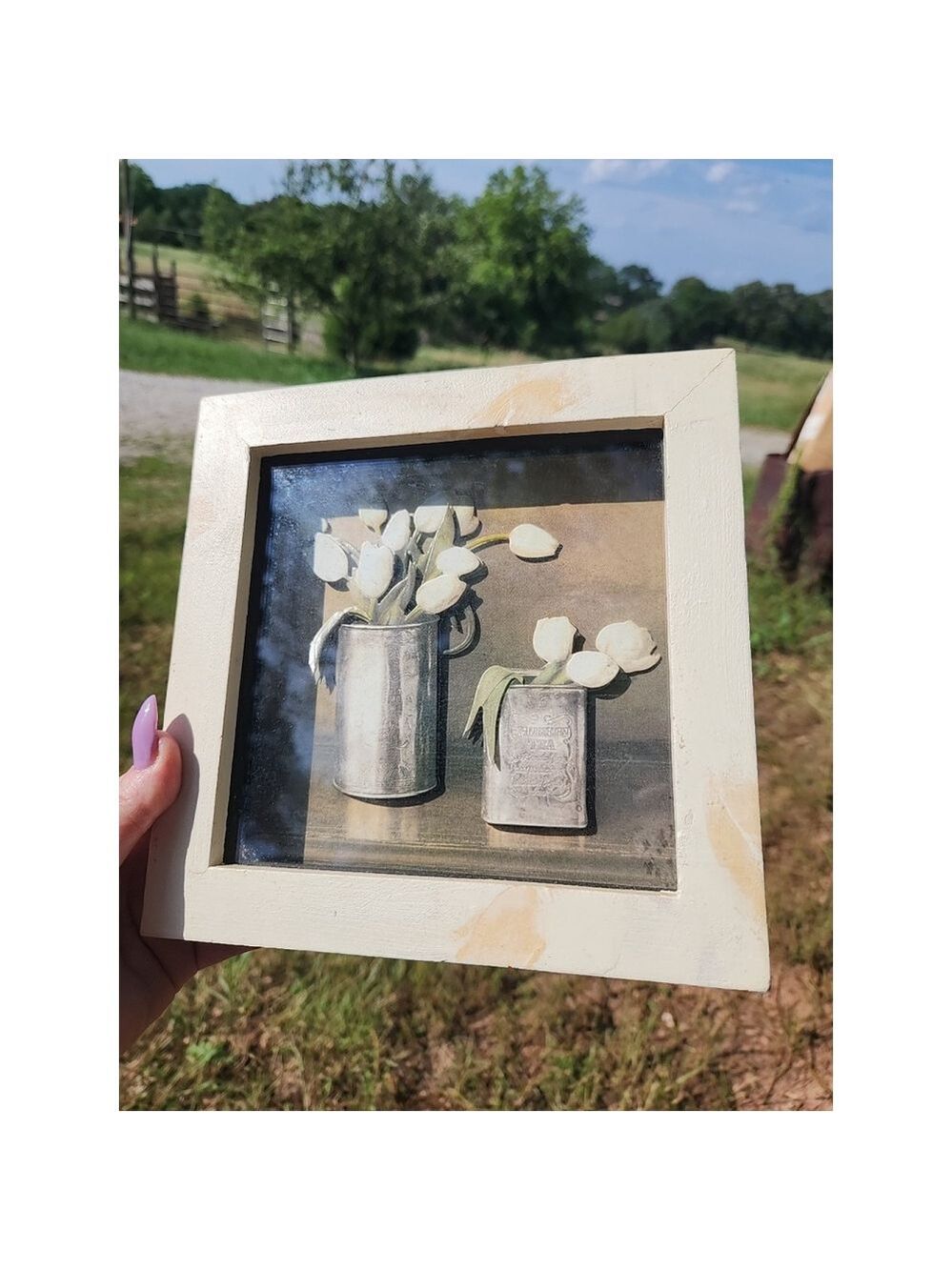 Tulips Shadow Box Frame 8x8 Cream Sage Grey